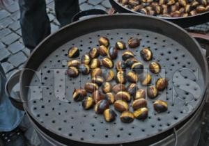 Kestane Haber Verdi K Geliyor