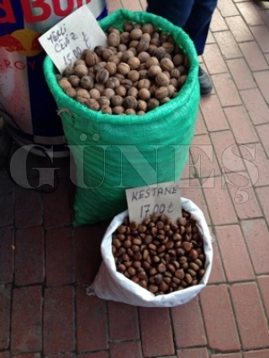 Kestane 17 TL Kestane 17 TL
