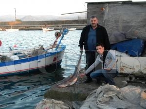 Hamsi Avnda Kpek Bal Tuttular
