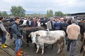Kurban Bayramı Öncesi Et fiyatlarındaHareketlilik Yok Kurban Bayramı Öncesi Et fiyatlarındaHareketlilik Yok