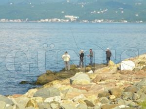 Balklarn Yeni Mekan Liman