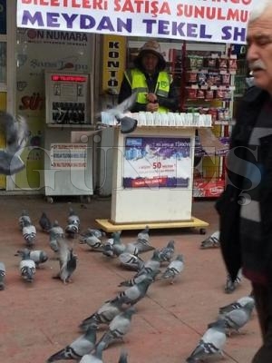 ANSINIZI DENEYN, BANA IKMAZ  DEMEYN BR  KYE 50 MLYON