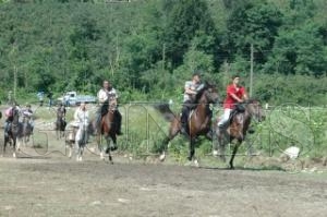 RAHVAN AT YARILARI NEFES KEST
