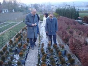 Kaymakam Yurdaer Fidanlk Tesislerini Gezdi