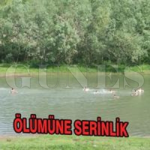LMNE SERNLK!...