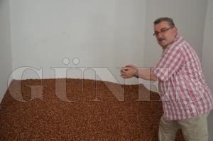 Fatsa havzas ilk fndn Rahmi Yangn ald