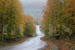 KARADENZ'DE RENK CMB