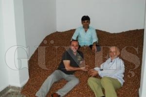 2010 YILININ LK FINDIKLARINI RAHM YANGIN  ve YAAR VARAN ALDI