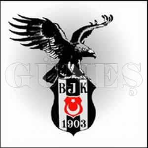 BEŞİKTAŞLILAR ŞAMPİYONLUKLARINI KUTLUYOR BEŞİKTAŞLILAR ŞAMPİYONLUKLARINI KUTLUYOR