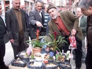 EK SOANLARI BYK LG GRD