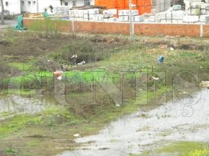 Köylerde Yaz Hazırlığı tamamlandı Köylerde Yaz Hazırlığı tamamlandı