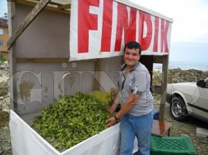 Taze Fındık 5 TL’den Tezgâhlarda Taze Fındık 5 TL’den Tezgâhlarda