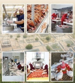 2025 y�l�nda TKDK 80 yat�r�ma destek sa�lad�