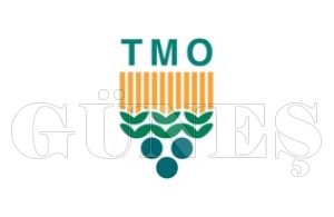 TMO, elindekileri fındıkların tümünü yağlığa ayırdı TMO, elindekileri fındıkların tümünü yağlığa ayırdı