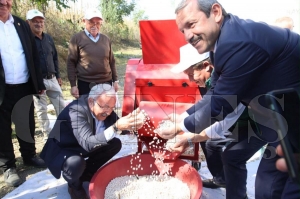 T�rkiye�nin lezzeti Akku� �eker fasulyesinin hasad� ba�lad�