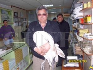 YARALI KUĞUYA VATANDAŞ SAHİP ÇIKTI YARALI KUĞUYA VATANDAŞ SAHİP ÇIKTI