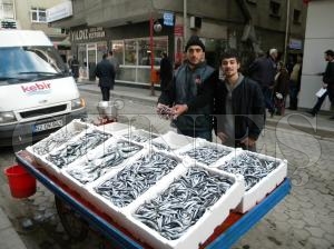 Yerli Hamsi 5 TLden satlyor