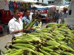 10 adet Yerli Mısır 5 TL 10 adet Yerli Mısır 5 TL