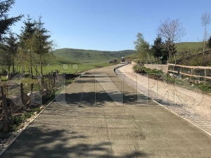 Yeşil Yol’da yaylalar birleşiyor Yeşil Yol’da yaylalar birleşiyor