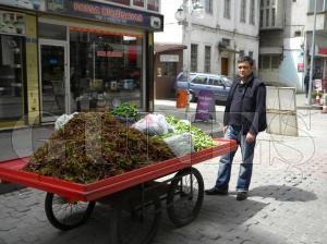 Yeşillikler Tezgahları süslüyor Yeşillikler Tezgahları süslüyor