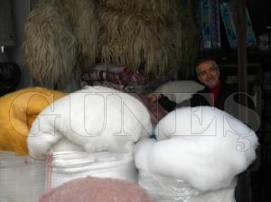 Yüncüler yeni sezondan umutlu Yüncüler yeni sezondan umutlu