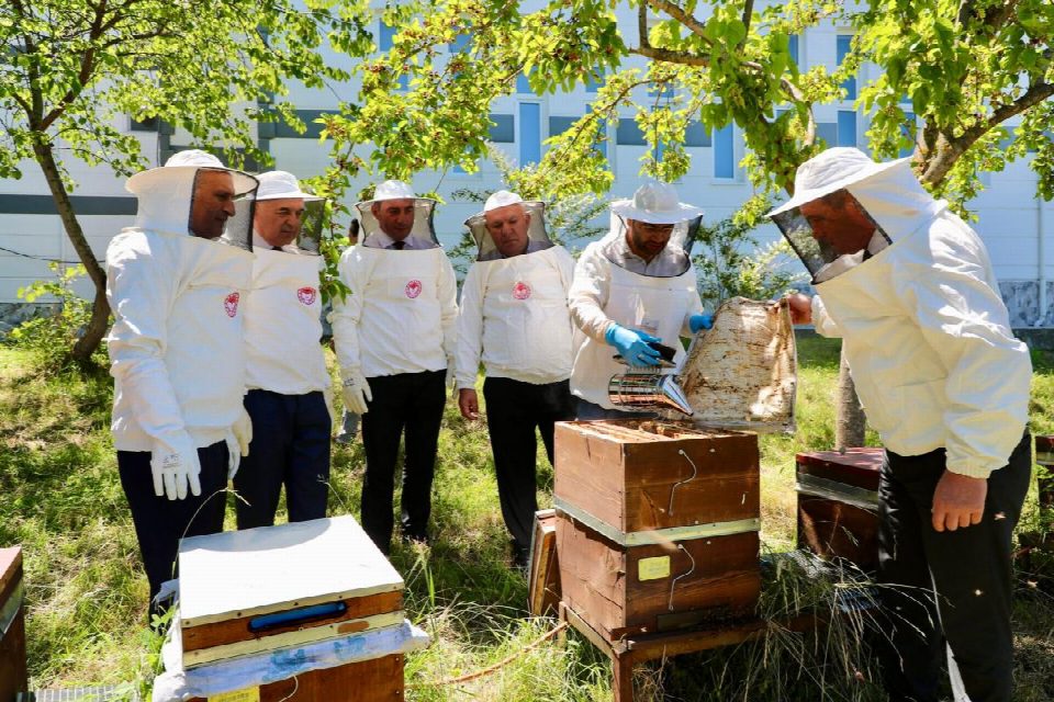 Ordu’dan İngiltere’ye Bal İhracatı Yapıldı