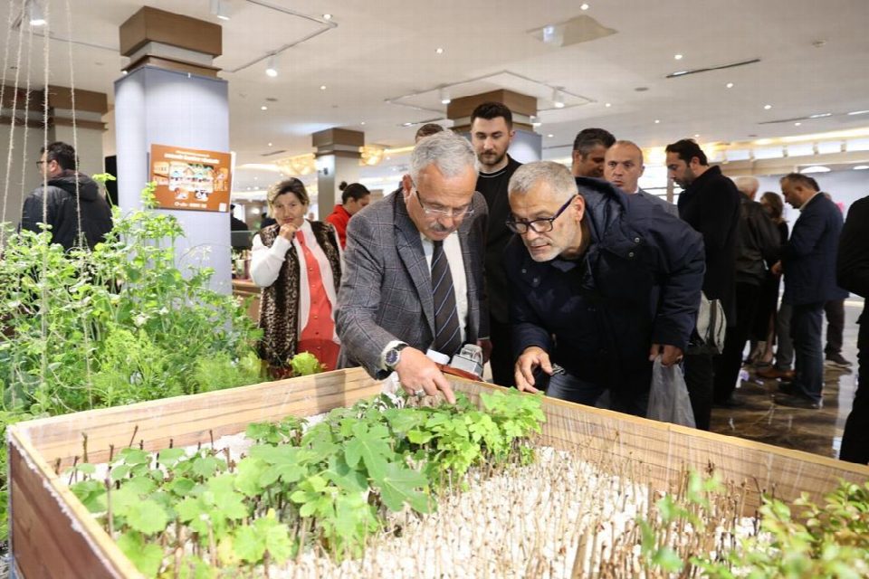 Ordu büyükşehir’le üretiyor... Üreticilere, dört yılda 2 milyon 500 bin adet fide desteği sağlandı