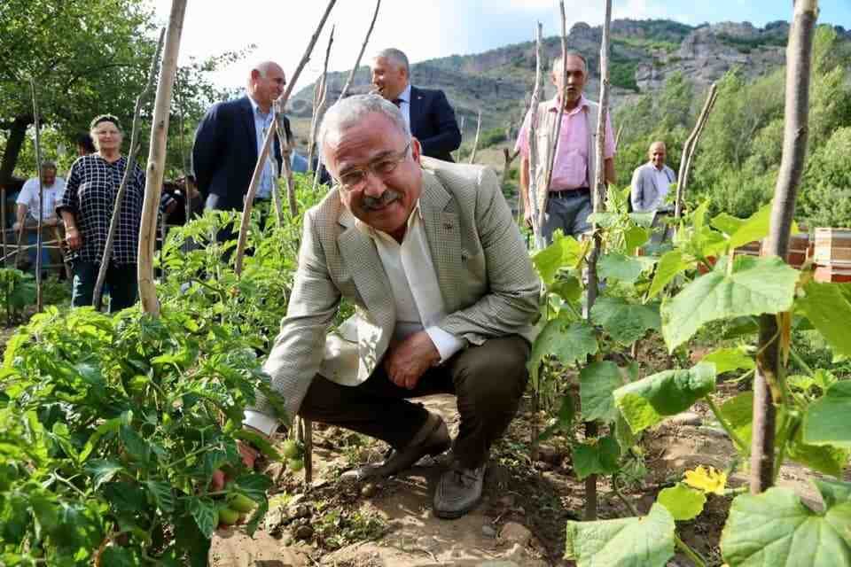 Bir milyon kışlık sebze fidesi dağıtılacak