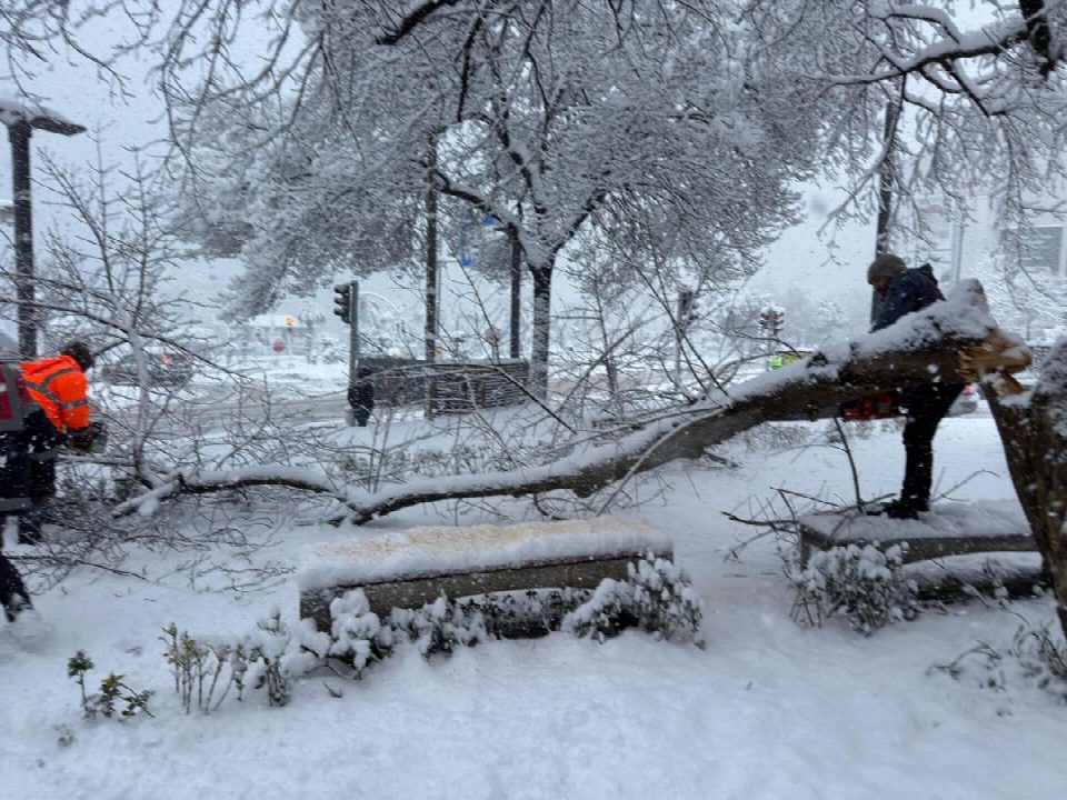 ORDU’DA ŞİDDETLİ KAR, AĞAÇLARA ZARAR VERDİ