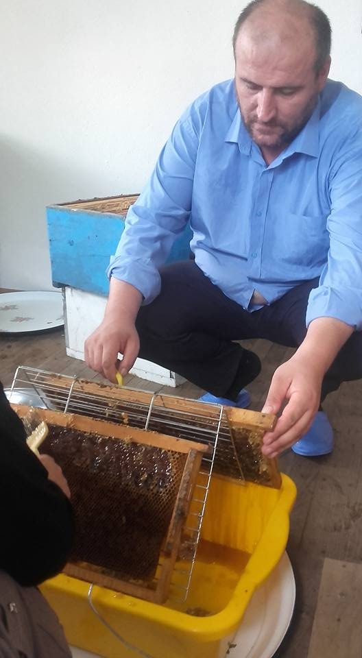 Arıcılar Bal Hasadına Başladı