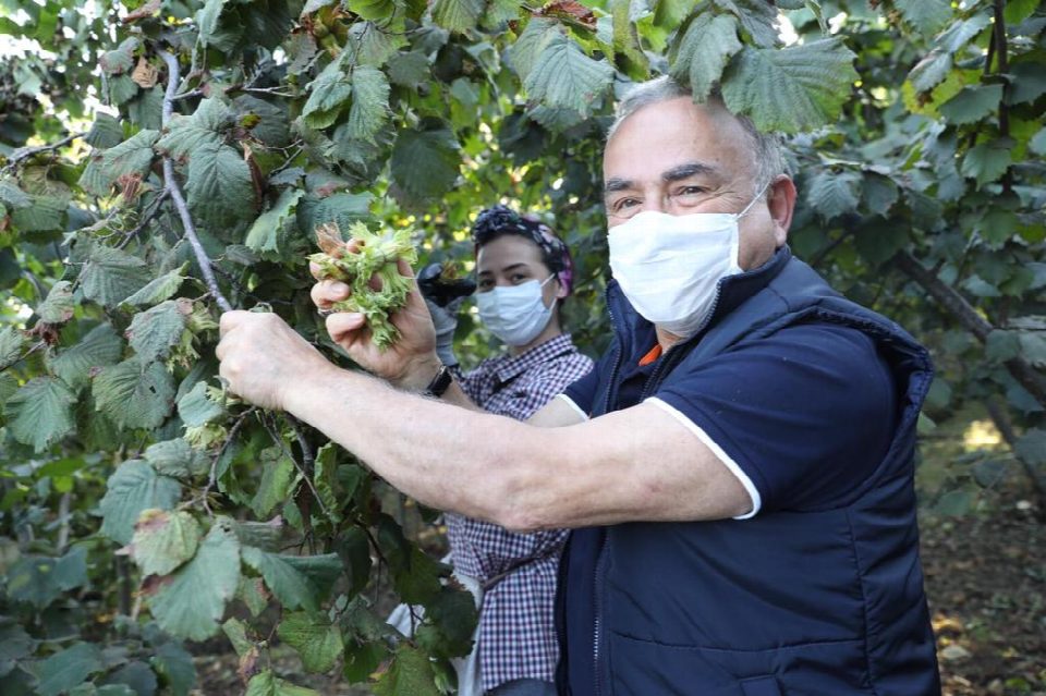 Başkan Güler’in TMO zaferi