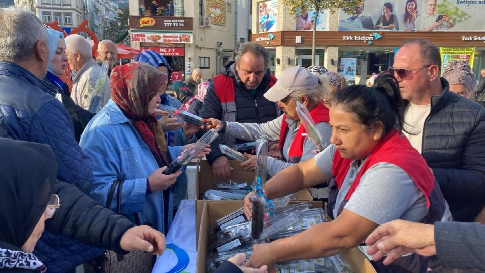 Drdu’da 2 bin adet fidan toprakla buluştu