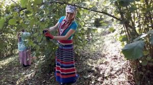 ÜRETİCİLER BAHÇELERDE