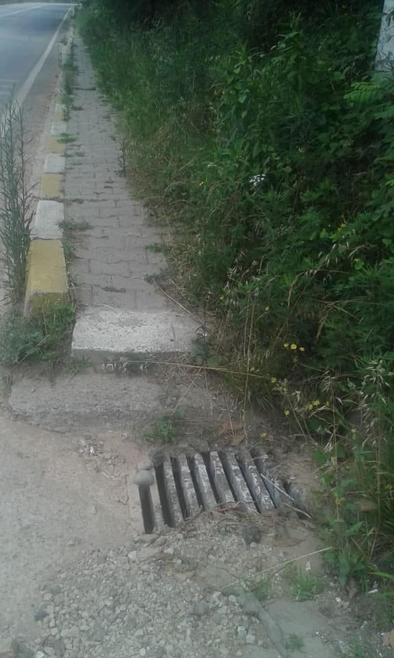 Yalıköy mahallesinde yaya yolunu ot bağladı