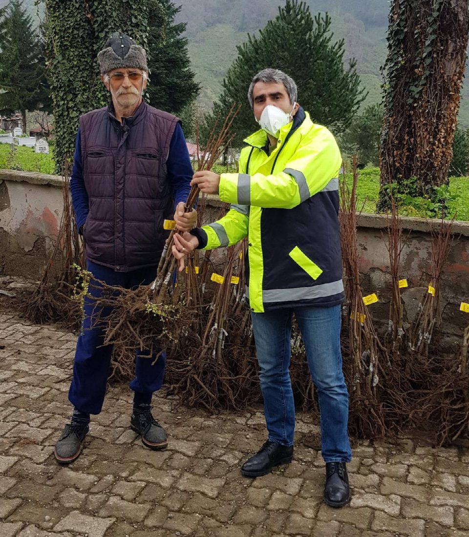 KESTANE ÜRETİMİ İÇİN ÇALIŞMALAR BAŞLADI