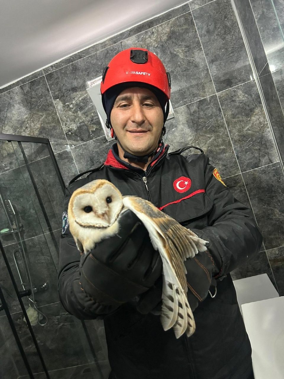 İtfaiye ekipleri mahsur kalan baykuş için seferber oldu
