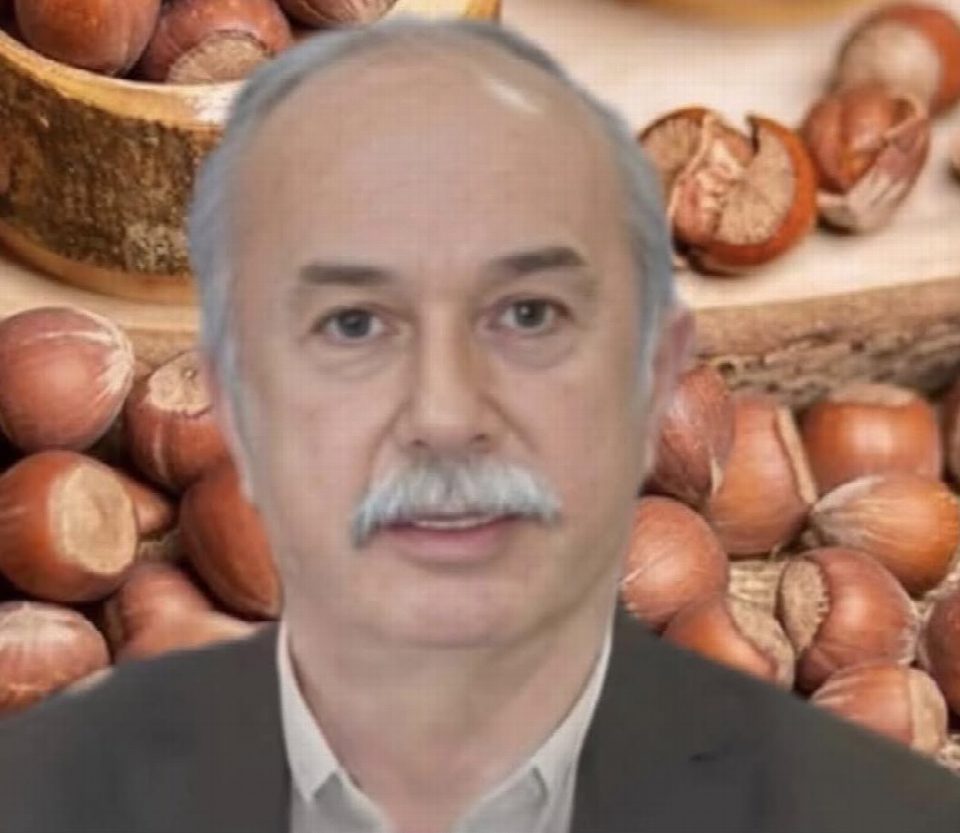 Fındıkta manipülasyon iddiasıBBB Gürsu “Üretici bilinçli şekilde zarara uğratılıyor”