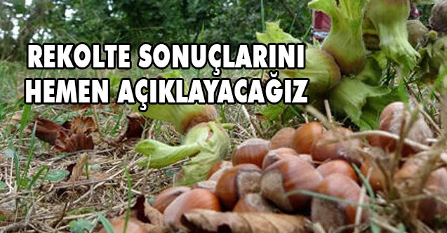 KARADENİZ İHRACATÇI BİRLİKLERİ’NDEN FINDIK REKOLTESİ AÇIKLAMASI