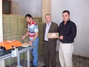 Fatsa Yumurtacılar Kooperatifi Başkanı Süleyman Yeşiller ; "Dışarıdan gelen yumurtalara dikkat"
