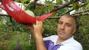 BİR KARADENİZLİ İCADI DAHA;