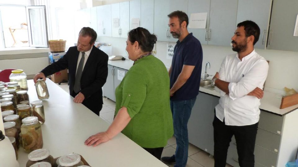 Yarılgaç'tan Fatsa çıkarması