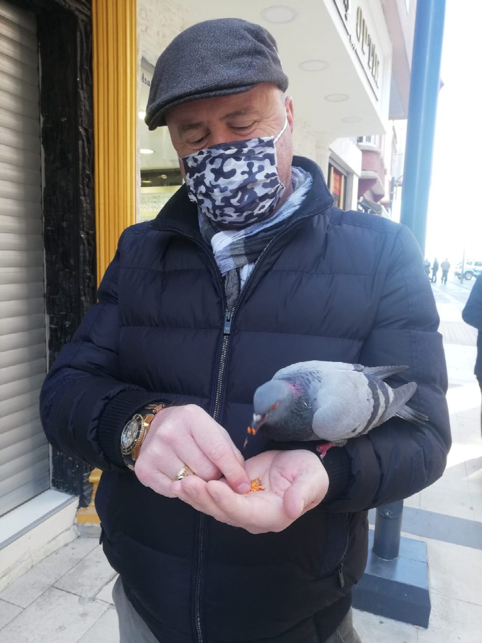 Güvercini eliyle besliyor