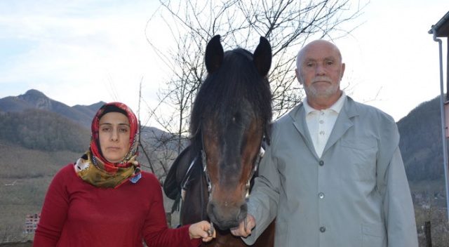 Kadın nalbant 17 yıldır nalbantlık yapıyor