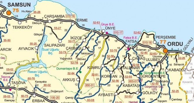 Fatsa İçin Dikkat Çekildi