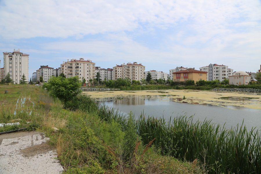 Sivrisinekle mücadelede etkili çözüm