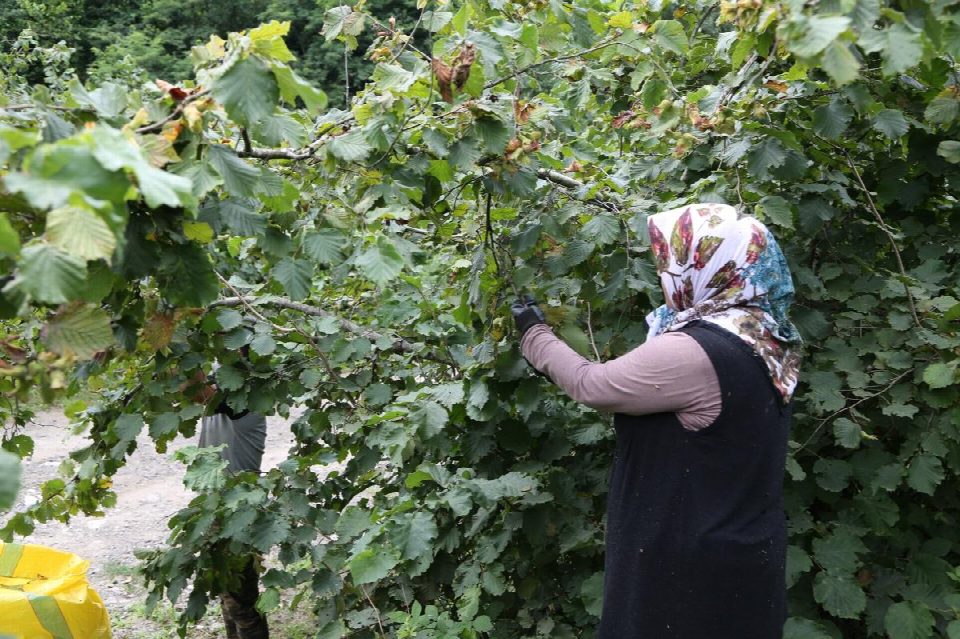 Proje amacına ulaştı