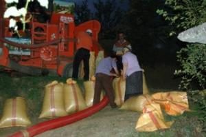 PATOZCULAR BU YIL UMUTLU!...