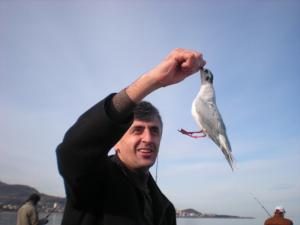 MİSİNAYA BALIK YERİNE MARTI TAKILDI