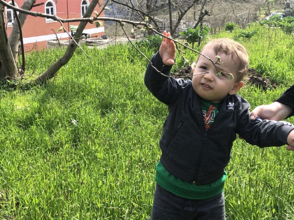 Üreticilerin fındık fiyatı beklentisi '20 TL'