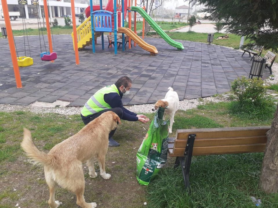 Aklınız can dostlarımızda kalmasın